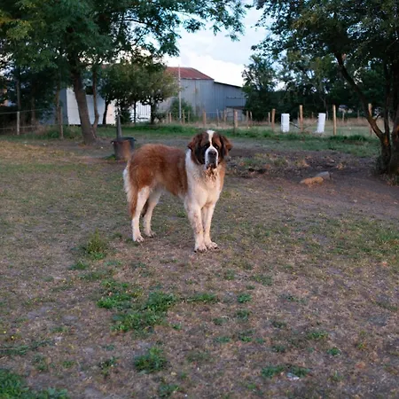 à La Campagne Apartamento
